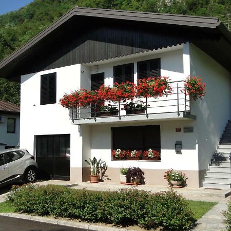 Apartma Jezero Most na Soči Exterior foto